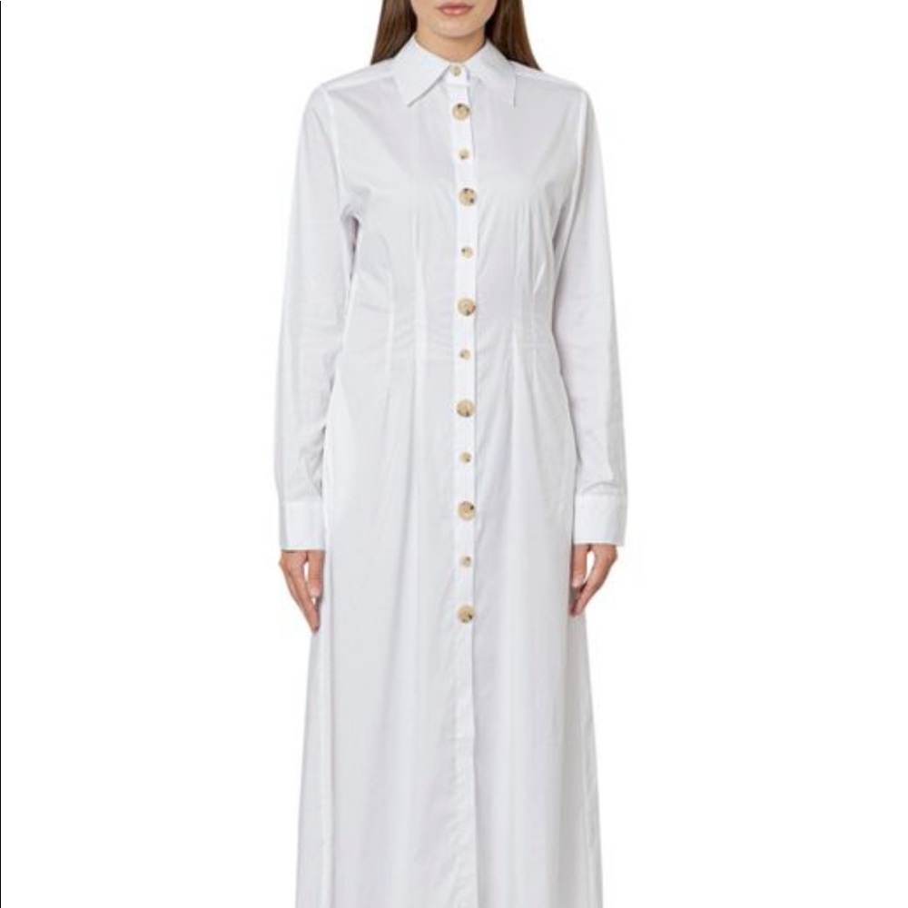 Anna Quan flared shirt dress 4